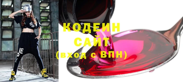 ГАЛЛЮЦИНОГЕННЫЕ ГРИБЫ Бородино