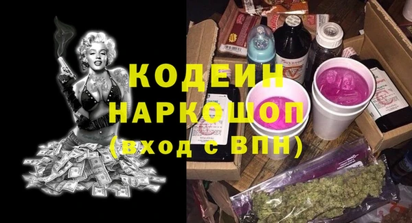 ГАЛЛЮЦИНОГЕННЫЕ ГРИБЫ Бородино