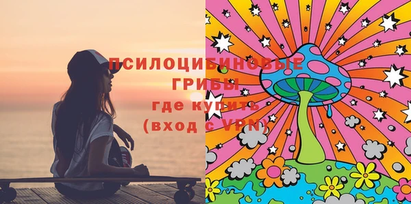 твердый Бронницы