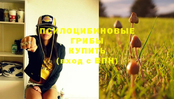 ГАЛЛЮЦИНОГЕННЫЕ ГРИБЫ Бородино