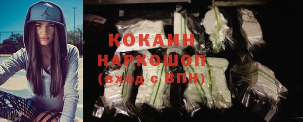 ГАЛЛЮЦИНОГЕННЫЕ ГРИБЫ Бородино